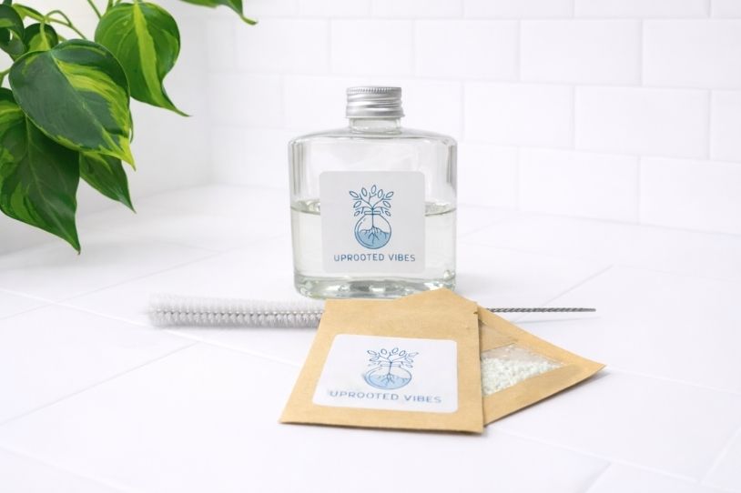 The Vibe Care Year — Annual Fertilizer + Spa Day Reminders