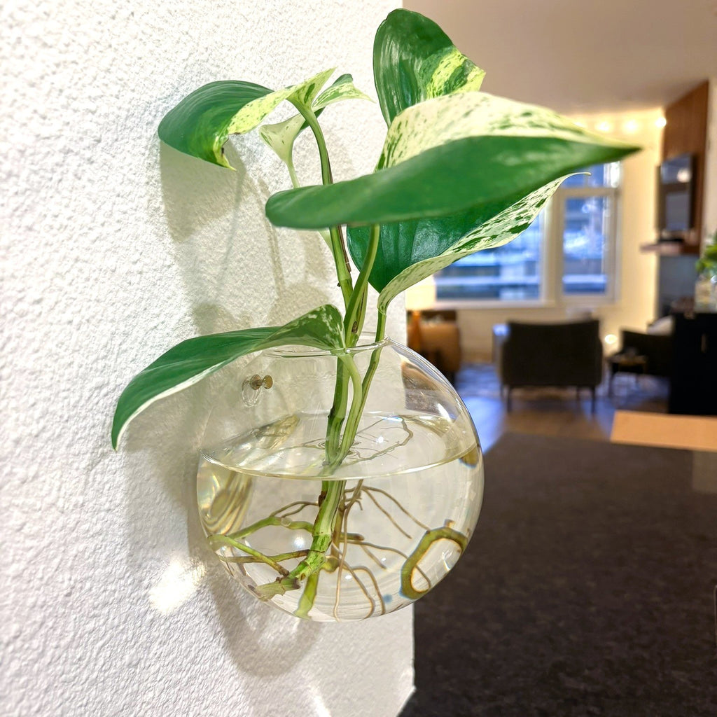 Living Sculpture No. 1