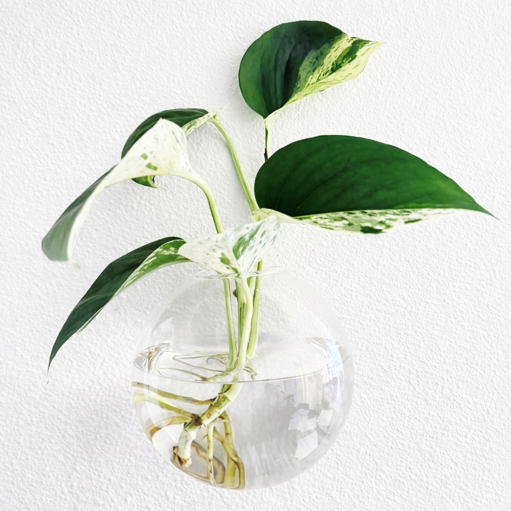 Living Sculpture No. 1